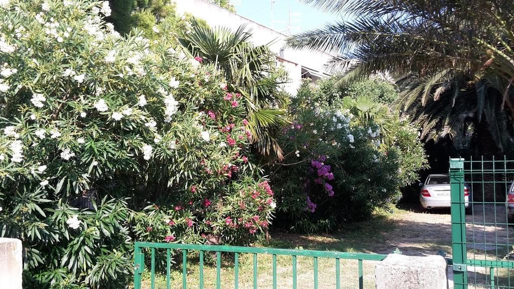 Sabina Apartments Omis Phòng bức ảnh